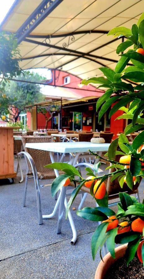 Camping Mas Du Sartre Saint Alban Auriolles Εξωτερικό φωτογραφία